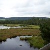 Šumava